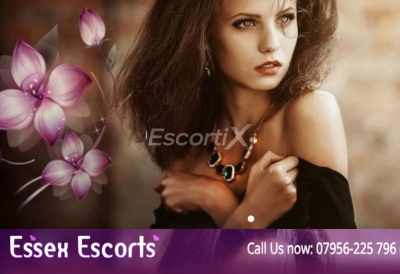 Essex Escorts